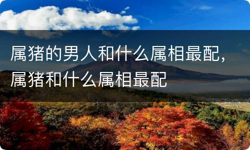 属猪的男人和什么属相最配，属猪和什么属相最配