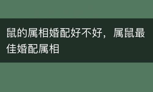 鼠的属相婚配好不好，属鼠最佳婚配属相