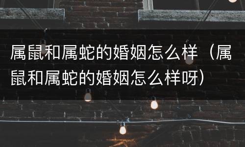 属鼠和属蛇的婚姻怎么样（属鼠和属蛇的婚姻怎么样呀）