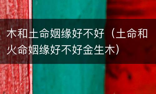 木和土命姻缘好不好（土命和火命姻缘好不好金生木）