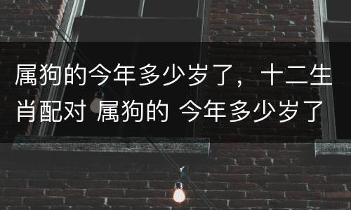 属狗的今年多少岁了，十二生肖配对 属狗的 今年多少岁了