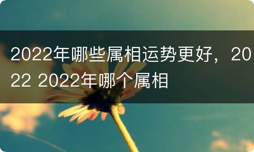 2022年哪些属相运势更好，2022 2022年哪个属相