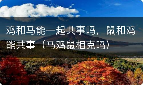 鸡和马能一起共事吗，鼠和鸡能共事（马鸡鼠相克吗）