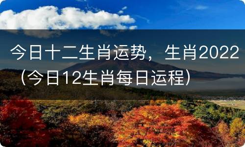 今日十二生肖运势，生肖2022（今日12生肖每日运程）
