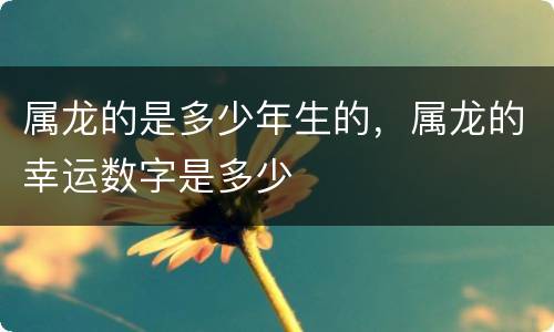 属龙的是多少年生的，属龙的幸运数字是多少