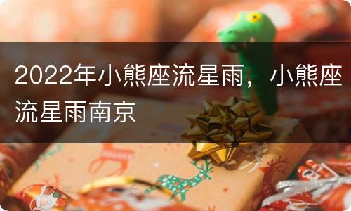2022年小熊座流星雨，小熊座流星雨南京