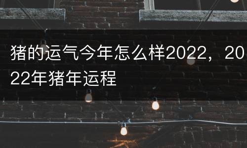 猪的运气今年怎么样2022，2022年猪年运程