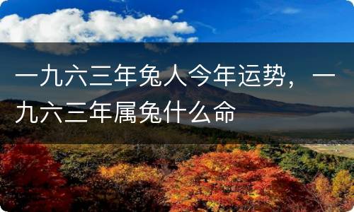 一九六三年兔人今年运势，一九六三年属兔什么命
