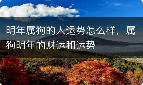明年属狗的人运势怎么样，属狗明年的财运和运势