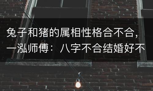 兔子和猪的属相性格合不合，一泓师傅：八字不合结婚好不好，属相