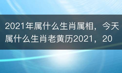 2021年属什么生肖属相，今天属什么生肖老黄历2021，20
