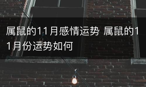属鼠的11月感情运势 属鼠的11月份运势如何