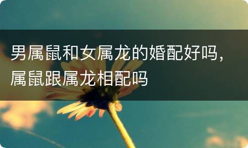 男属鼠和女属龙的婚配好吗，属鼠跟属龙相配吗