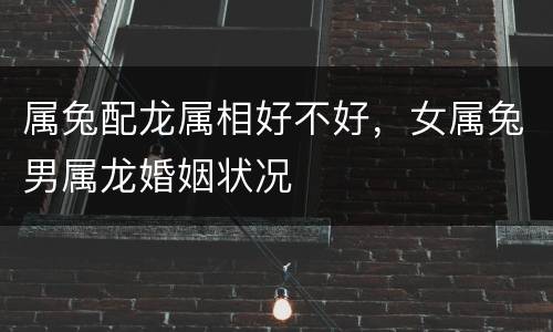 属兔配龙属相好不好，女属兔男属龙婚姻状况