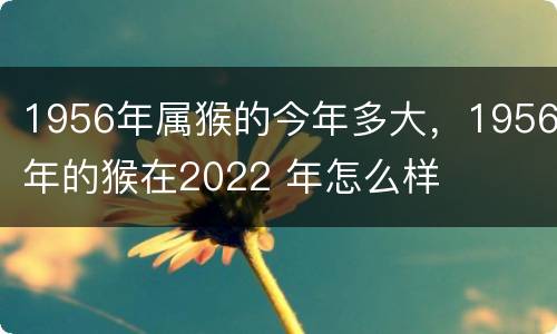1956年属猴的今年多大，1956年的猴在2022 年怎么样