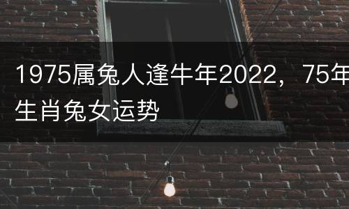 1975属兔人逢牛年2022，75年生肖兔女运势