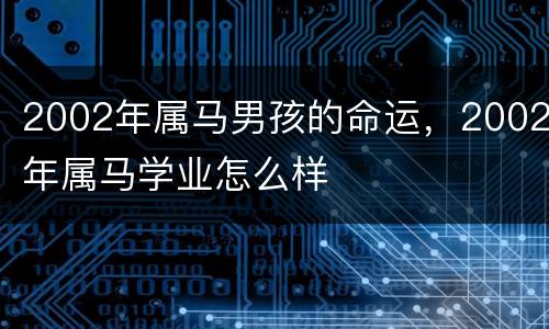 2002年属马男孩的命运，2002年属马学业怎么样