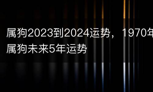 属狗2023到2024运势，1970年属狗未来5年运势