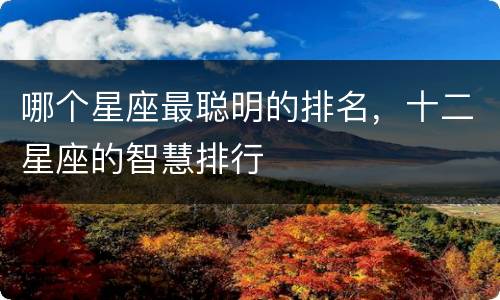 哪个星座最聪明的排名，十二星座的智慧排行