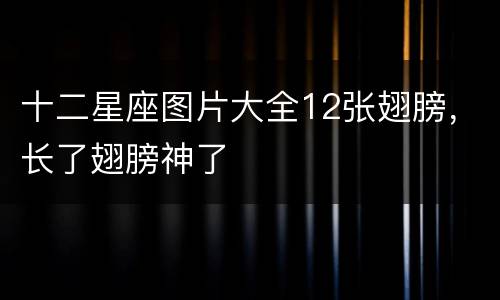 十二星座图片大全12张翅膀，长了翅膀神了