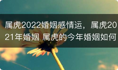 属虎2022婚姻感情运，属虎2021年婚姻 属虎的今年婚姻如何2021