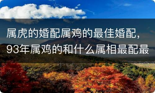 属虎的婚配属鸡的最佳婚配，93年属鸡的和什么属相最配最合适呢