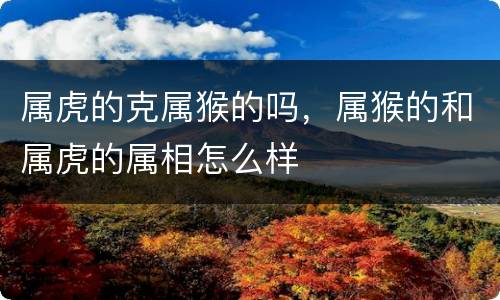 属虎的克属猴的吗，属猴的和属虎的属相怎么样