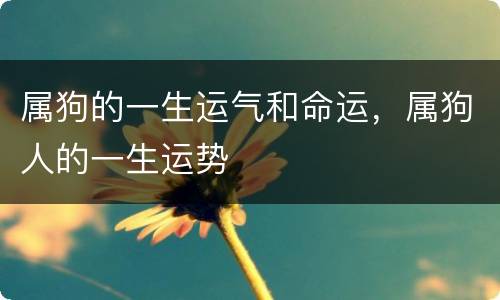 属狗的一生运气和命运，属狗人的一生运势