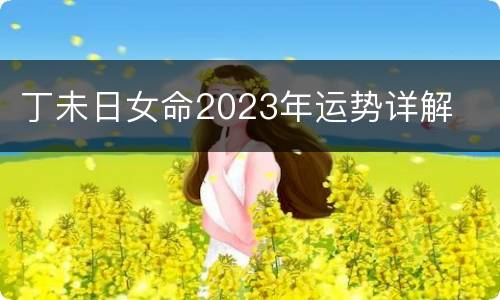 丁未日女命2023年运势详解