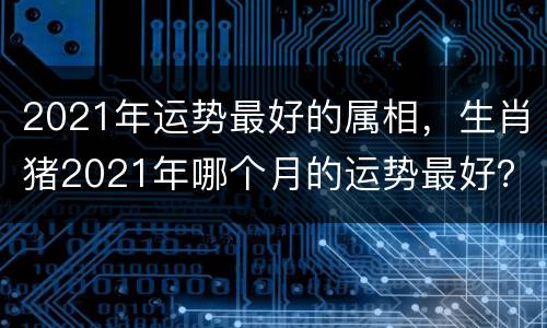 2021年运势最好的属相，生肖猪2021年哪个月的运势最好？