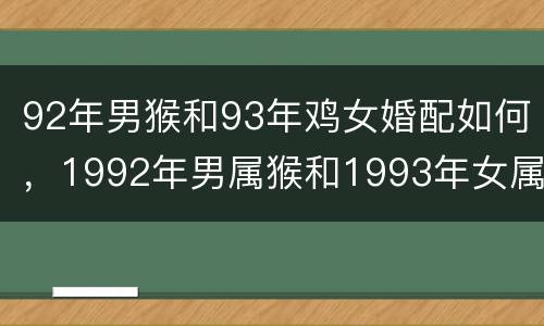 92年男猴和93年鸡女婚配如何，1992年男属猴和1993年女属鸡相配