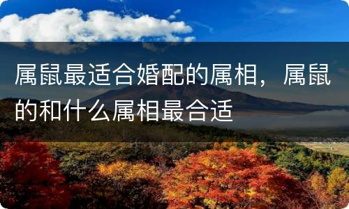 属鼠最适合婚配的属相，属鼠的和什么属相最合适