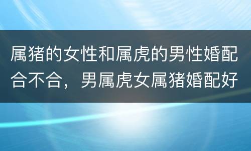 属猪的女性和属虎的男性婚配合不合，男属虎女属猪婚配好吗