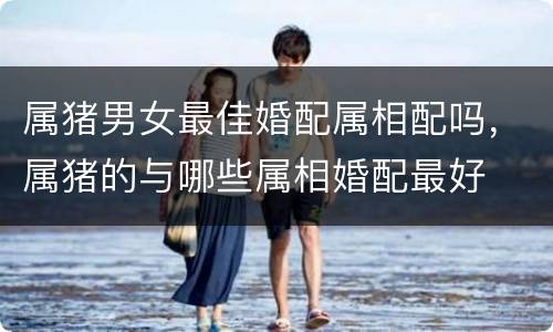 属猪男女最佳婚配属相配吗，属猪的与哪些属相婚配最好