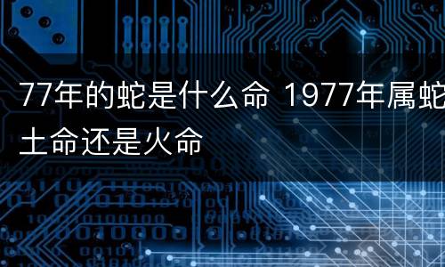 77年的蛇是什么命 1977年属蛇土命还是火命