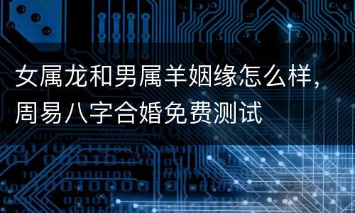 女属龙和男属羊姻缘怎么样，周易八字合婚免费测试