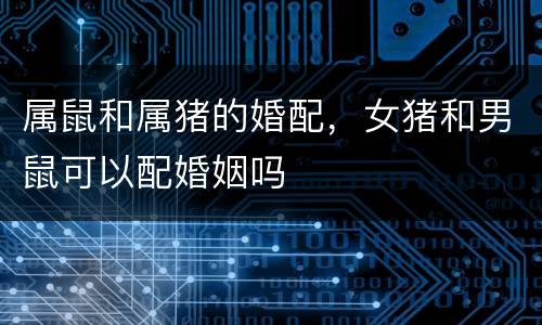 属鼠和属猪的婚配，女猪和男鼠可以配婚姻吗