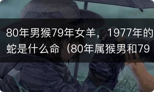 80年男猴79年女羊，1977年的蛇是什么命（80年属猴男和79年属羊女相配吗）
