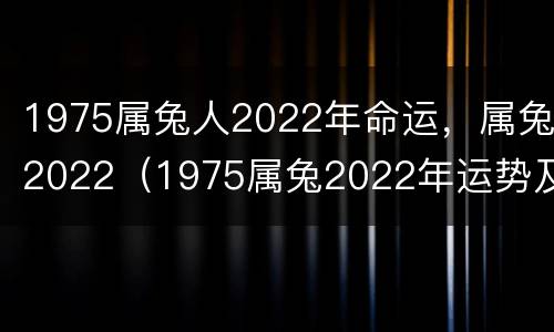 1975属兔人2022年命运，属兔2022（1975属兔2022年运势及运程每月运程）