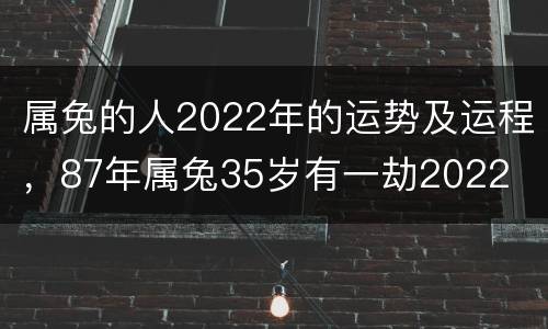 属兔的人2022年的运势及运程，87年属兔35岁有一劫2022