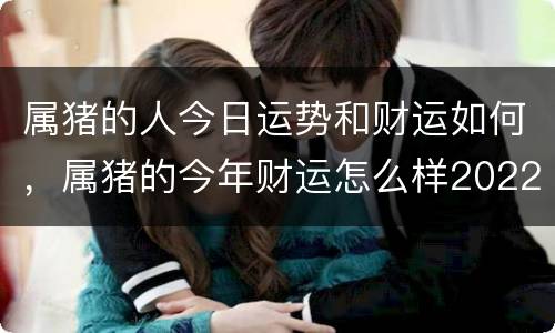 属猪的人今日运势和财运如何，属猪的今年财运怎么样2022