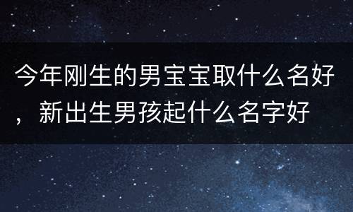 今年刚生的男宝宝取什么名好，新出生男孩起什么名字好