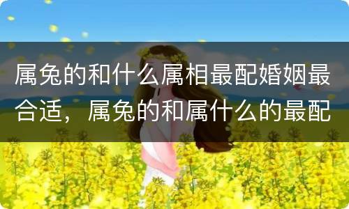 属兔的和什么属相最配婚姻最合适，属兔的和属什么的最配婚姻