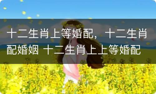 十二生肖上等婚配，十二生肖配婚姻 十二生肖上上等婚配