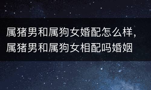属猪男和属狗女婚配怎么样，属猪男和属狗女相配吗婚姻