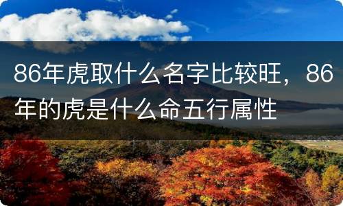86年虎取什么名字比较旺，86年的虎是什么命五行属性