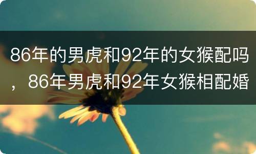 86年的男虎和92年的女猴配吗，86年男虎和92年女猴相配婚姻如何