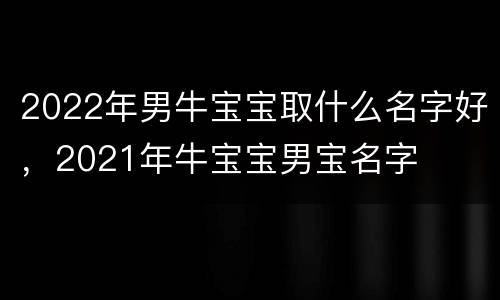 2022年男牛宝宝取什么名字好，2021年牛宝宝男宝名字