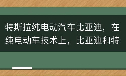 特斯拉纯电动汽车比亚迪，在纯电动车技术上，比亚迪和特斯拉的差距到底有多