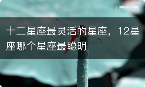 十二星座最灵活的星座，12星座哪个星座最聪明